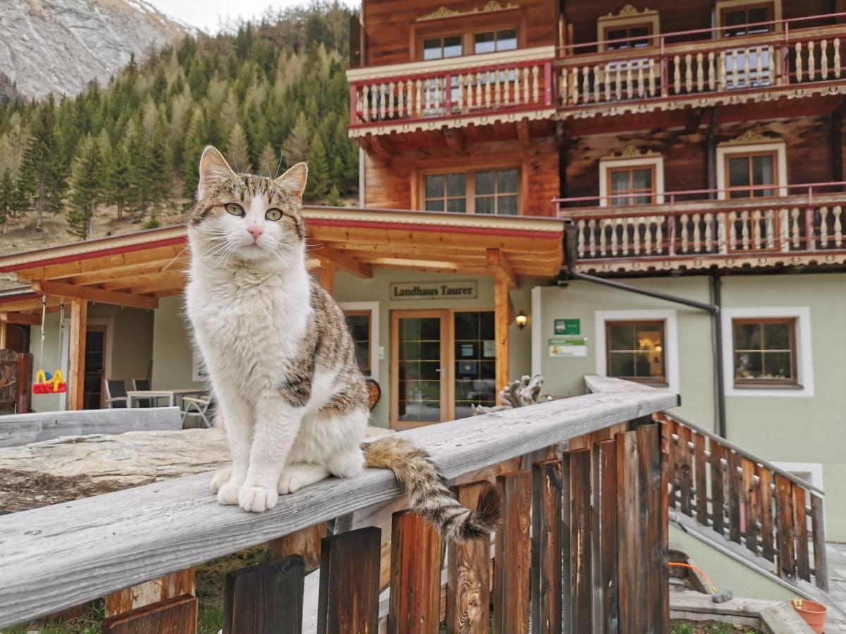Landhaus Taurer Kals am Grossglockner Ngoại thất bức ảnh