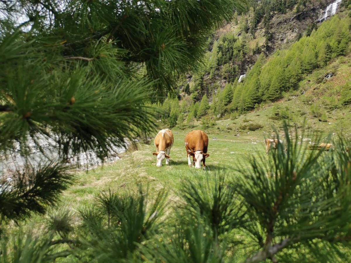 Landhaus Taurer Kals am Grossglockner Ngoại thất bức ảnh