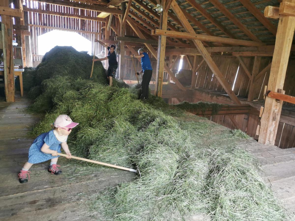 Landhaus Taurer Kals am Grossglockner Ngoại thất bức ảnh