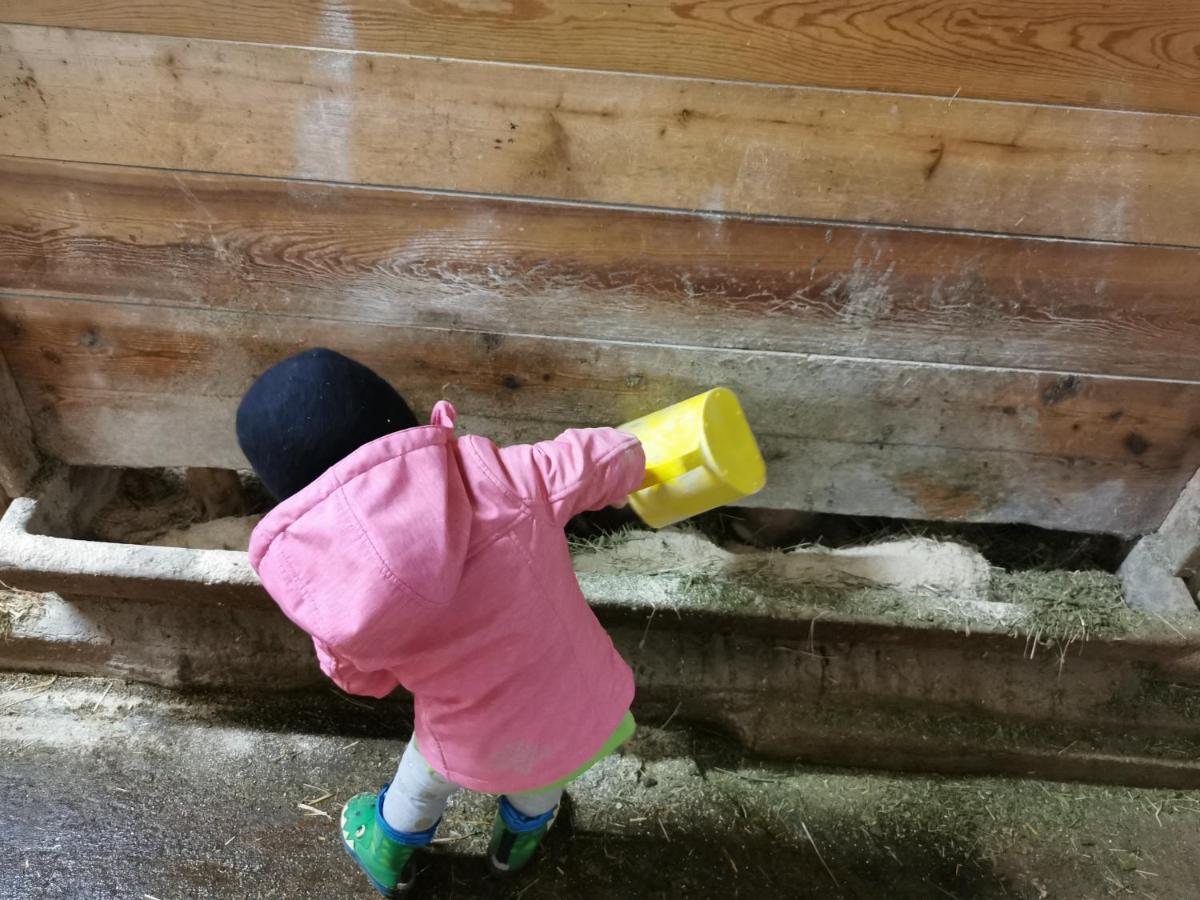 Landhaus Taurer Kals am Grossglockner Ngoại thất bức ảnh